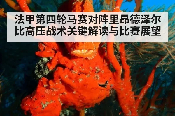 法甲第四轮马赛对阵里昂德泽尔比高压战术关键解读与比赛展望